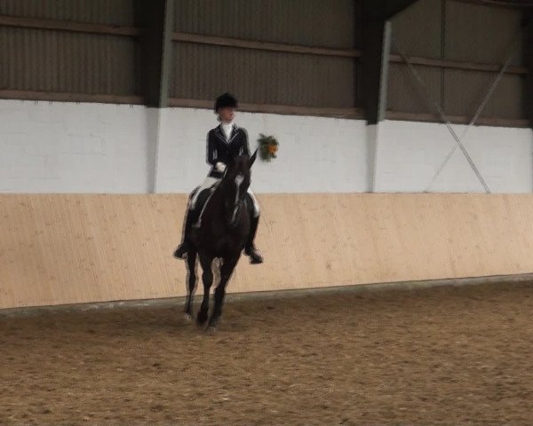 Reitturnier Datteln 2016
