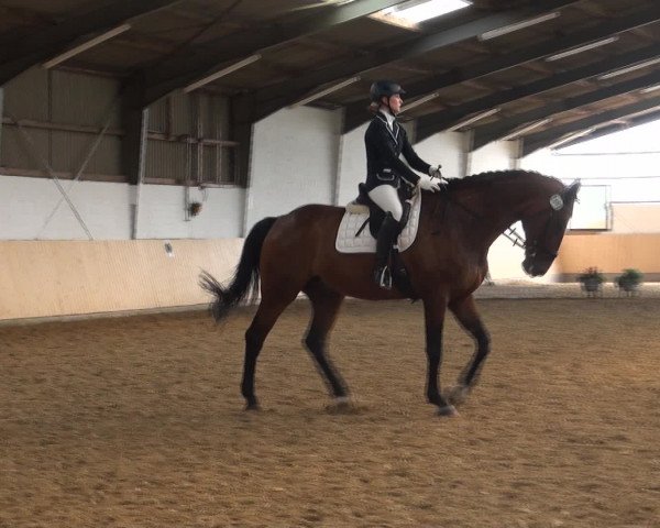 Reitturnier Datteln 2016