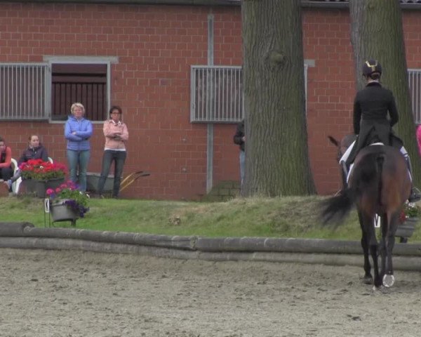 Reitturnier Datteln 2016