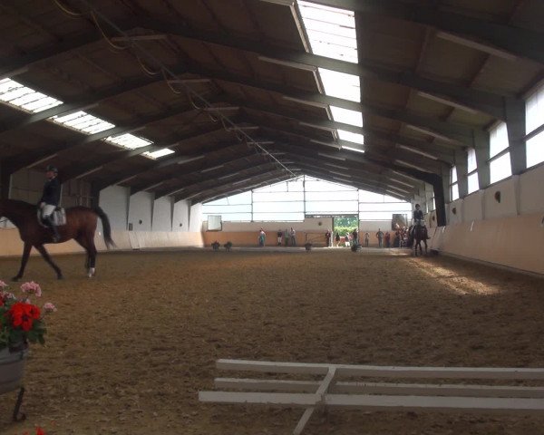 Reitturnier Datteln 2016