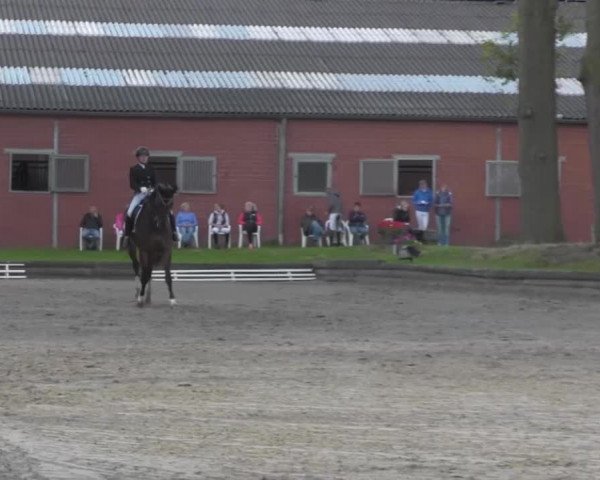 Reitturnier Datteln 2016