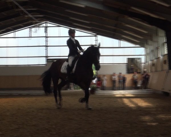 Reitturnier Datteln 2016