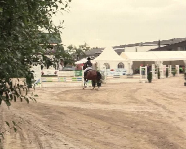 Reitturnier Datteln 2016