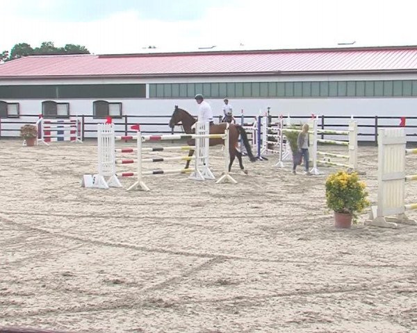 Reitturnier HH-Klein Offenseth/Hell-Stallion-Stud 2016