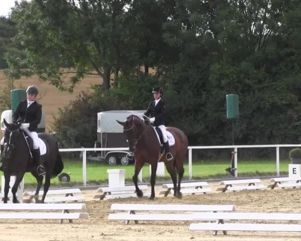 Reitturnier Menden 2016