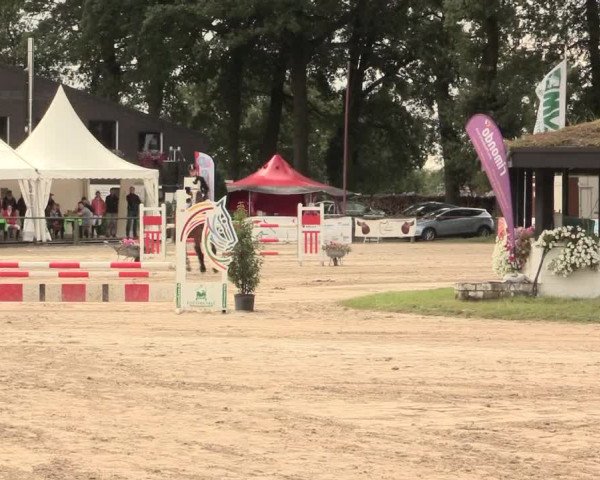 Reitturnier Datteln 2016