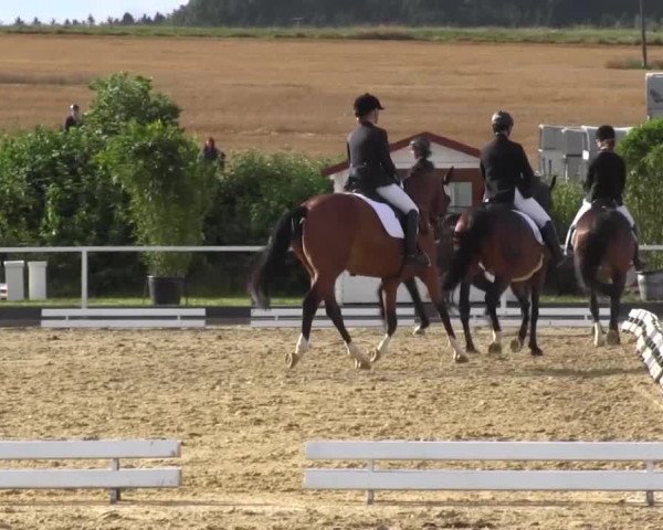 Reitturnier Menden 2016