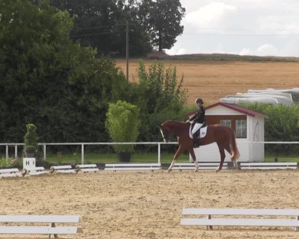 Reitturnier Menden 2016
