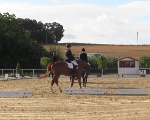 Reitturnier Menden 2016