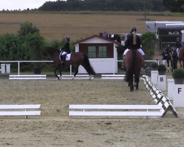 Reitturnier Menden 2016