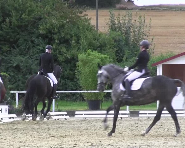 Reitturnier Menden 2016