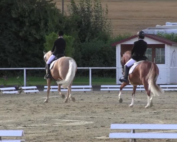Reitturnier Menden 2016