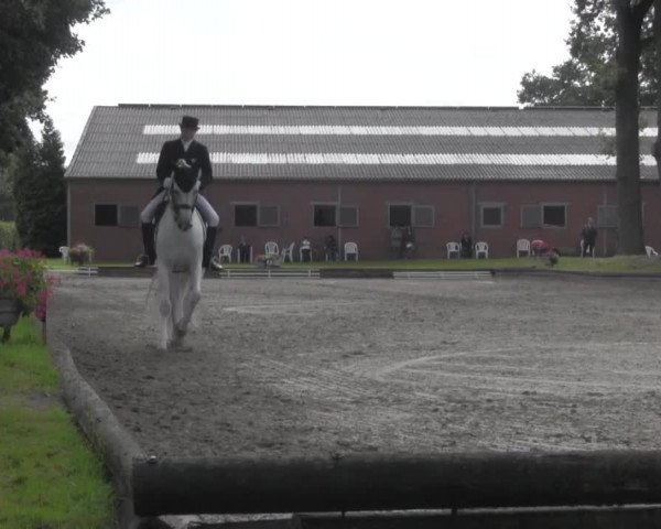 Reitturnier Datteln 2016