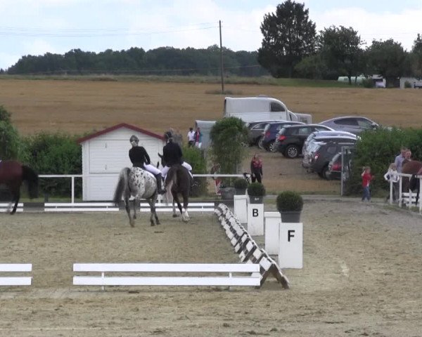 Reitturnier Menden 2016
