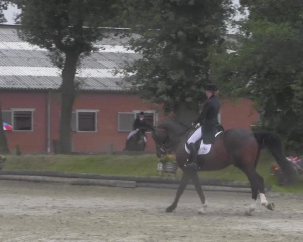 Reitturnier Datteln 2016