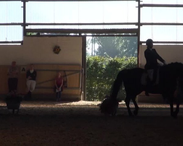 Reitturnier Datteln 2016