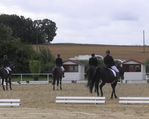 Reitturnier Menden 2016