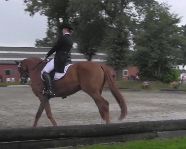 Reitturnier Datteln 2016