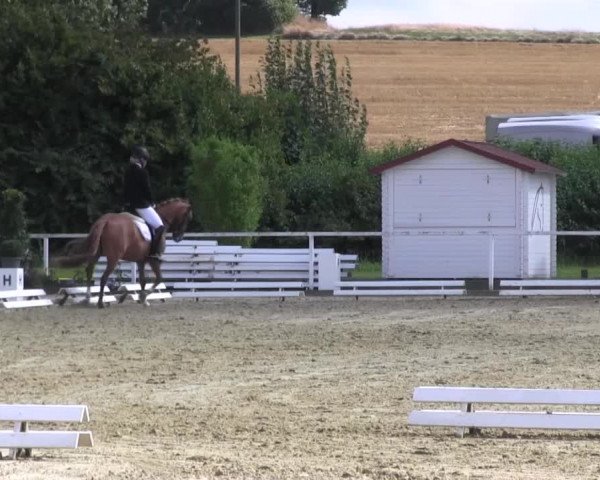 Reitturnier Menden 2016
