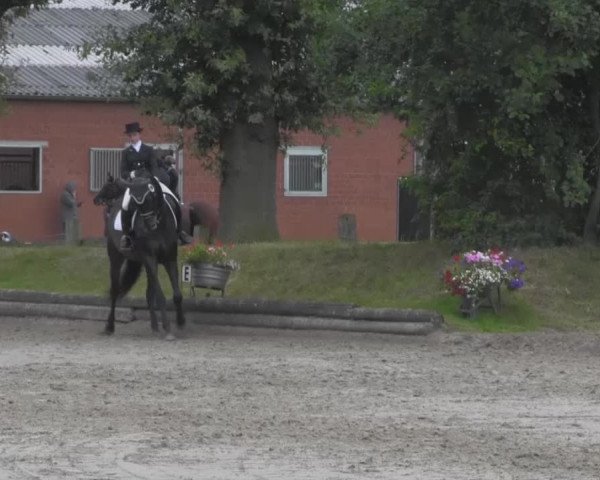 Reitturnier Datteln 2016