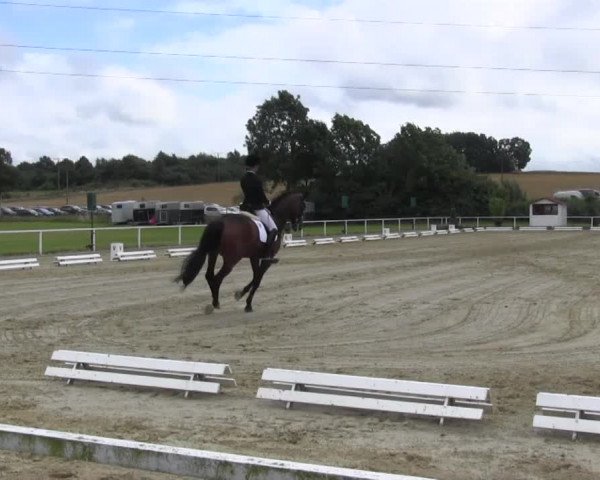 Reitturnier Menden 2016