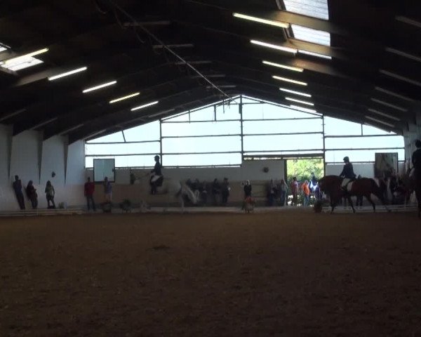 Reitturnier Datteln 2016