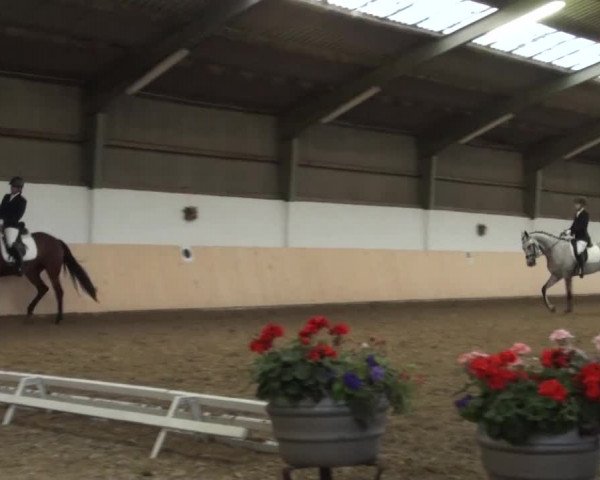 Reitturnier Datteln 2016