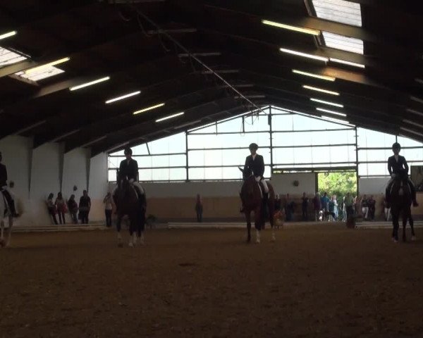 Reitturnier Datteln 2016