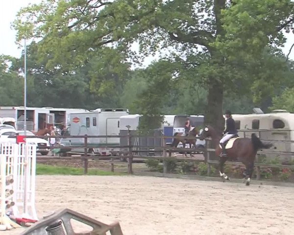 Reitturnier HH-Klein Offenseth/Hell-Stallion-Stud 2016