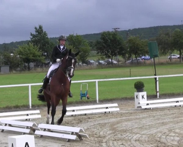 Reitturnier Menden 2016