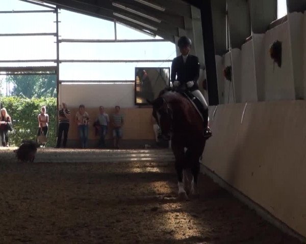 Reitturnier Datteln 2016