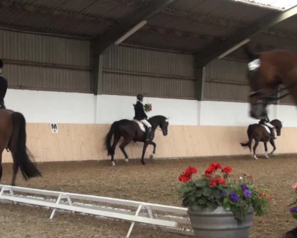 Reitturnier Datteln 2016