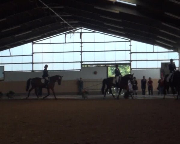 Reitturnier Datteln 2016