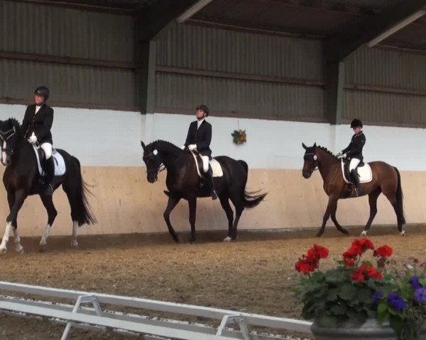 Reitturnier Datteln 2016