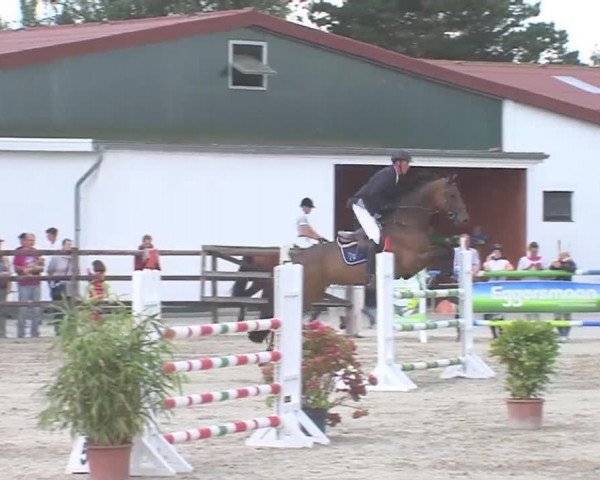 Reitturnier HH-Klein Offenseth/Hell-Stallion-Stud 2016