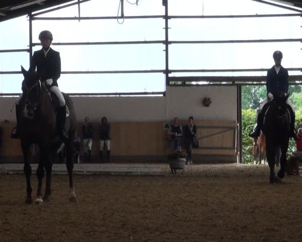 Reitturnier Datteln 2016