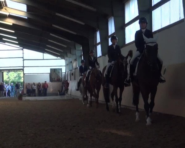 Reitturnier Datteln 2016