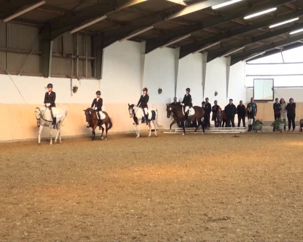 Reitturnier Datteln 2016