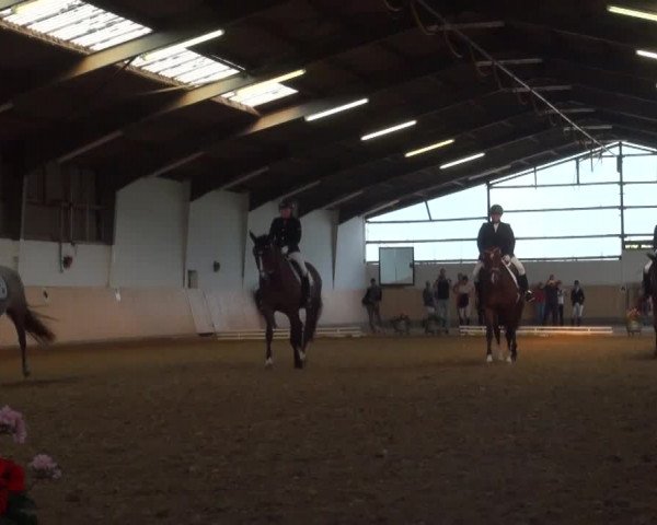 Reitturnier Datteln 2016
