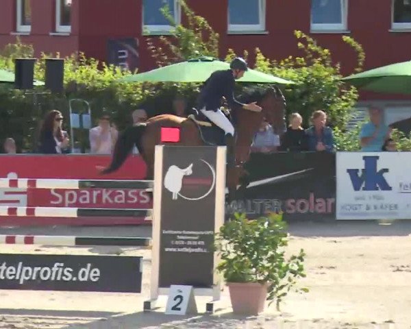 HORSE classics Killingen 2016