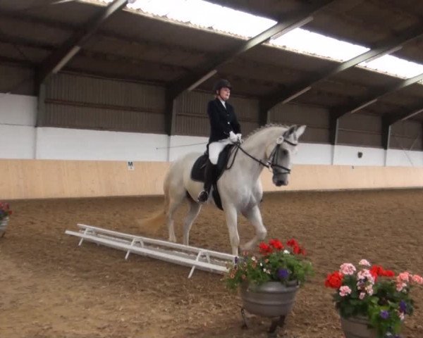 Reitturnier Datteln 2016