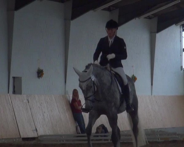 Reitturnier Datteln 2016