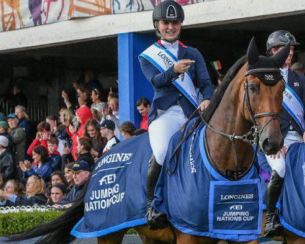 jumper Winning Good (Nederlands Rijpaarden en Pony, 2009, from Winningmood van de Arenberg)