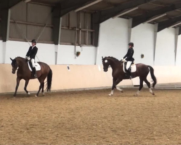 Reitturnier Datteln 2016
