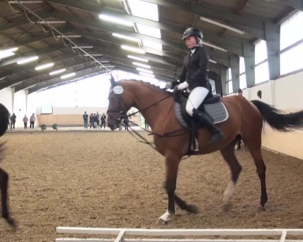 Reitturnier Datteln 2016