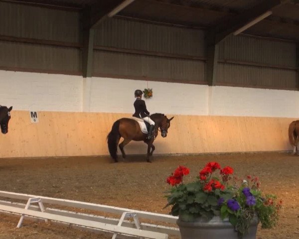 Reitturnier Datteln 2016