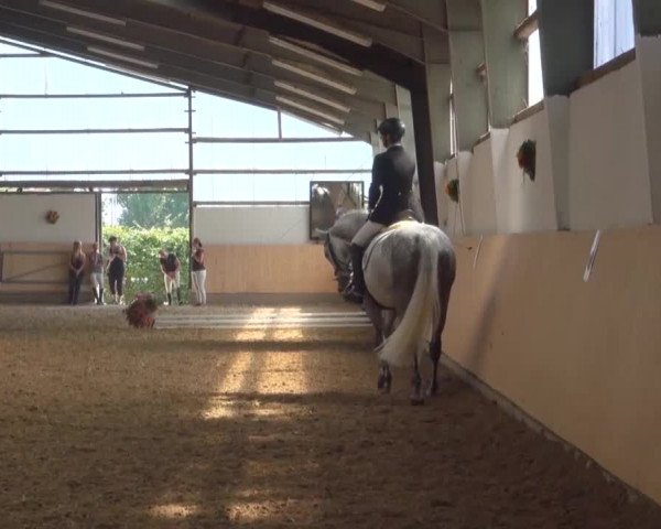 Reitturnier Datteln 2016