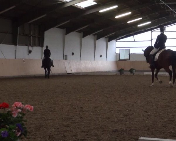 Reitturnier Datteln 2016