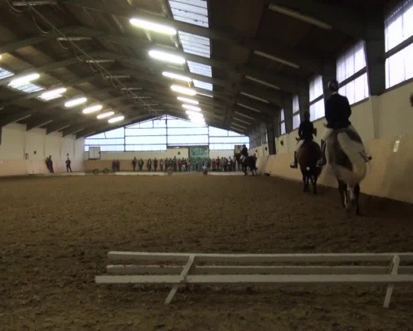 Reitturnier Datteln 2016