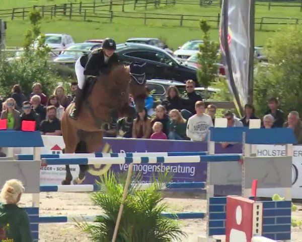 HORSE classics Killingen 2016
